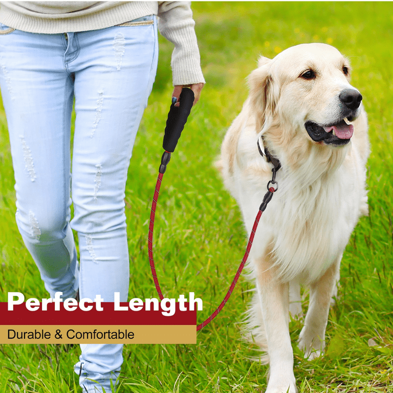 Irish wolfhound best sale collars and leashes