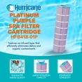 thumbnail image 2 of Hurricane HF8418-01P Platinum Purple Pool and Spa Filter Cartridge Replacement, 2 of 7