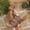 BROWN, variant on Wedge Heel Sandals for Women, Double Buckle Slip-On Espadrilles with Platform and Cushioned Sole for Summer