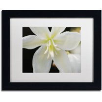 Trademark Fine Art "Hope" Canvas Art by Monica Mize, White Matte, Black Frame
