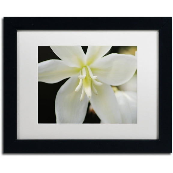 Trademark Fine Art "Hope" Canvas Art by Monica Mize, White Matte, Black Frame