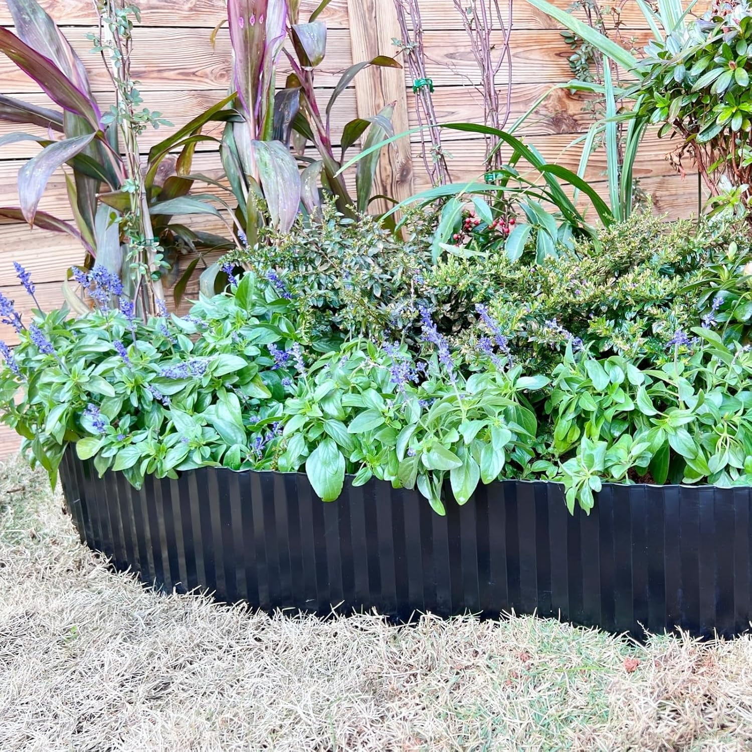Tramull Corrugated Garden Edging Border,10" x 60' Landscape Paver Edging, Tall Landscape Edging, Fence for Garden, Flower Bed, Lawn and Landscape Edging (Black)