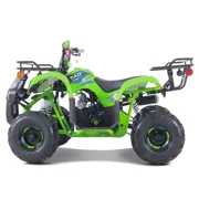 TaoTao D125 125cc Fully Automatic Mid Utility ATV