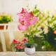 thumbnail image 3 of Bonsái De Orquídea Artificial De Tela 1 unidad de orquídea Phalaenopsis de seda rosa artificial en maceta de cerámica,bonsái de flor artificial alto para decoración del hogar. Rkxzt, 3 of 8