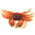 thumbnail image 4 of Wweixi Simulation 8CM 7.8G Faux Appâts PVC Leurres de Poisson Souple Accessoires de Pêche Couleur Aléatoire, 4 of 6