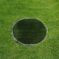 thumbnail image 4 of GOOHOCHY Artificial Grass Mat Green for Dining Table Centerpiece 1Pack, 4 of 8
