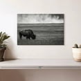 thumbnail image 2 of Elephant Stock Yellowstone National Park Wall Art - Horizontal Canvas Wall Art - Living Room Wall Decor - Animal Canvas - Black And Gray Decor By Jessica Hendricks - 12" x 8", 2 of 8