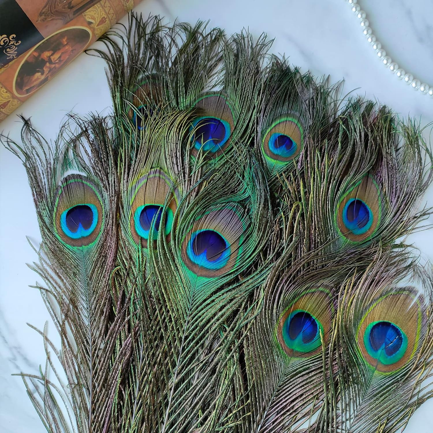 20 Plumes De Paon Naturelles 25cm - Décoration Et Artisanat - Couleurs Naturelles