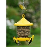Yellow Clinger Only Bird Feeder