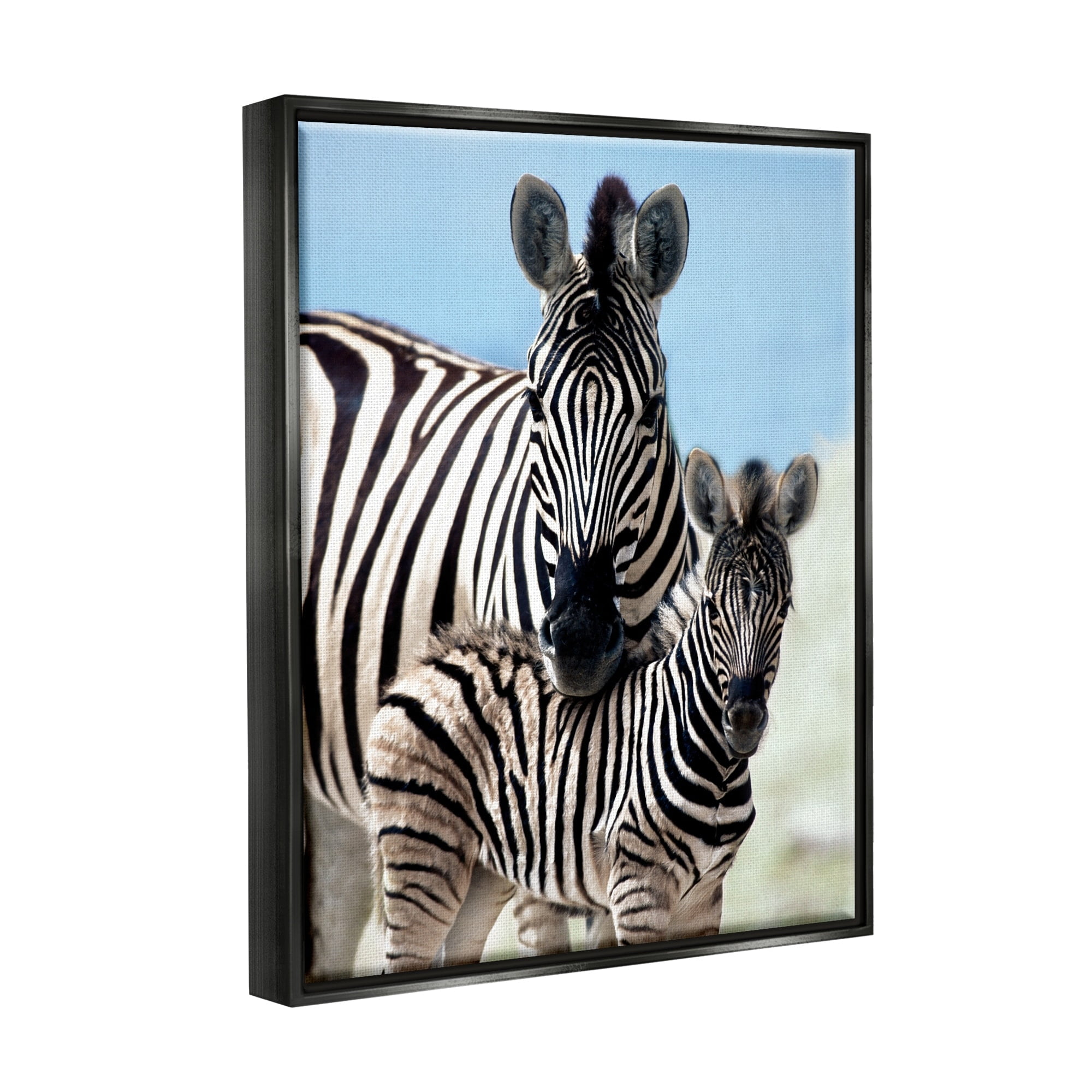 Stupell Industries Uplifting Zebra Family Mother Child Savanna Animals Photograph Jet Black Floating Framed Canvas Print Wall Art, Design by Danita Delimont