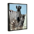 thumbnail image 2 of Stupell Industries Uplifting Zebra Family Mother Child Savanna Animals Photograph Jet Black Floating Framed Canvas Print Wall Art, Design by Danita Delimont, 2 of 5