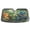 Green, variant on Dailycode Foldable Car Windshield Sun Shade Front Window Visor Blocks UV Rays Keeps Interior Cool 55x27.6 Shark Gang on Trip