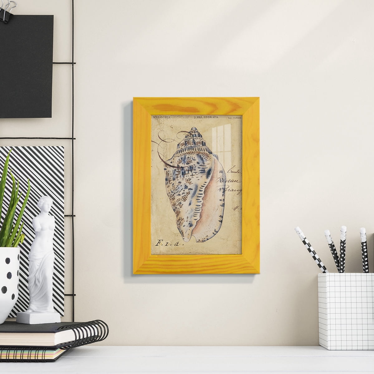 Seashell Ephemera I - Framed Print w/glass - Sunflower Yellow