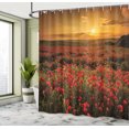 thumbnail image 5 of Ambesonne Poppy Flower Shower Curtain, Sunset Meadow Farmland, 69"Wx84"L, Marigold Scarlet, 5 of 5