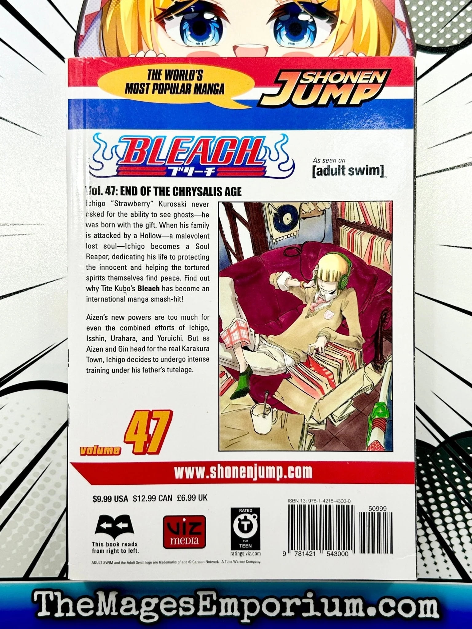 Bleach Bleach, Vol. 47, (Paperback) - Walmart.com