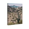 thumbnail image 3 of Desert Landscape Nature and Landscape Wall Art Print Brown 24x36, 3 of 5