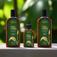 thumbnail image 5 of Agadir Tea Tree Shampoo 366 ML / 12.4 FL. OZ., 5 of 5