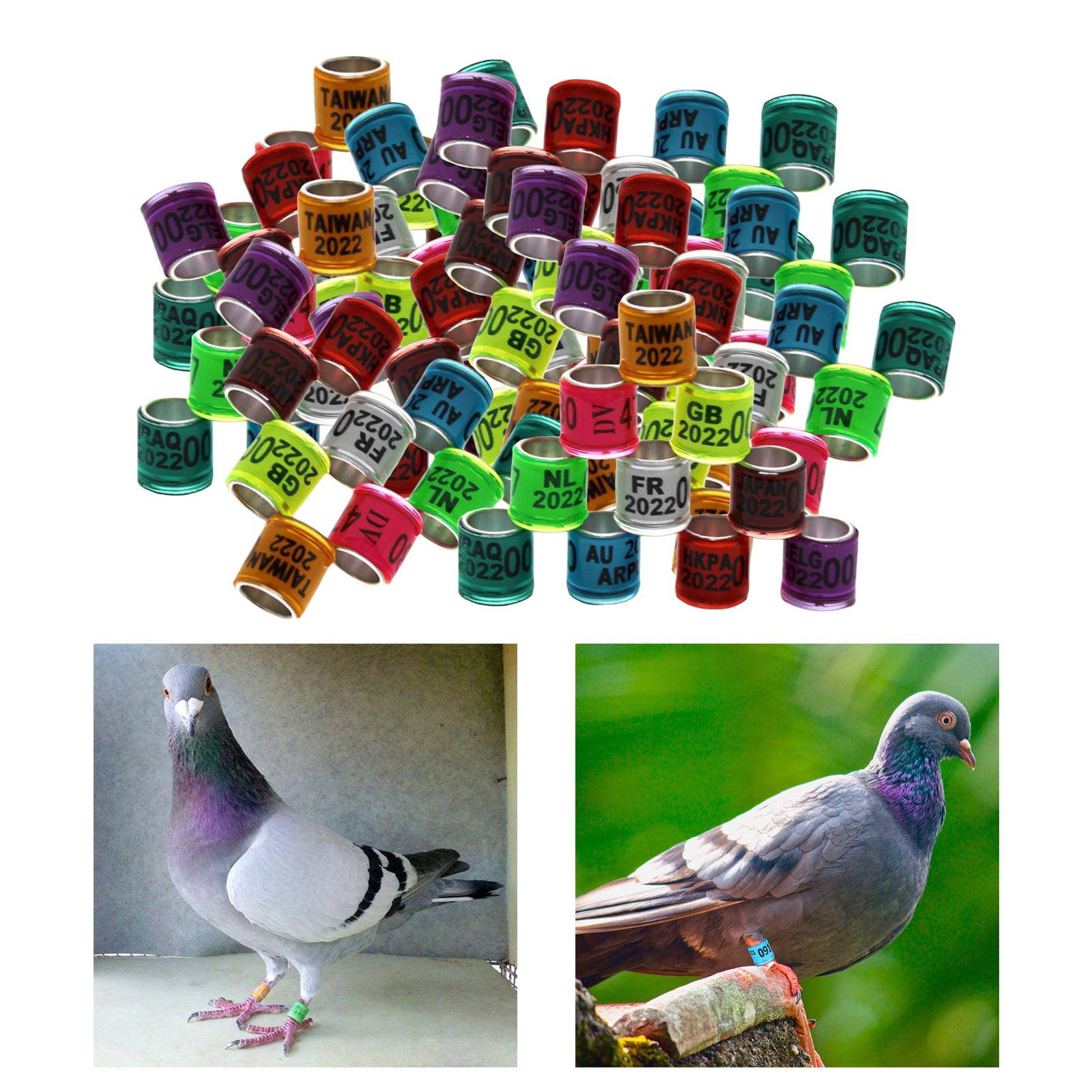 2019 20PCS foreign pigeon leg rings identify dove bands plastic aluminium ringXS 