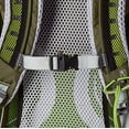 thumbnail image 3 of Osprey Stratos 24 Men's Hiking Backpack 10000811 Gator Green, 3 of 6