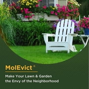 Baar Lawn Mole Castor Oil, MolEvict, Helps Rid Lawns & Gardens of Pesky Moles & Voles – 32 Ounces