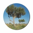 thumbnail image 1 of Tree Mouse Pad for Computers, Real Life Image of Boscia Albitrunca in Grassland in Africa, Round Non-Slip Thick Rubber Modern Gaming Mousepad, 8" Round, Azure Blue Tan, by Ambesonne, 1 of 2