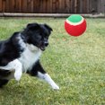 thumbnail image 4 of 6 pelotas de tenis para perros, pelotas saltarinas, pelotas de tenis para mascotas, pelota masticable para perros, juguete para la dentición de cachorros pequeños., 4 of 6