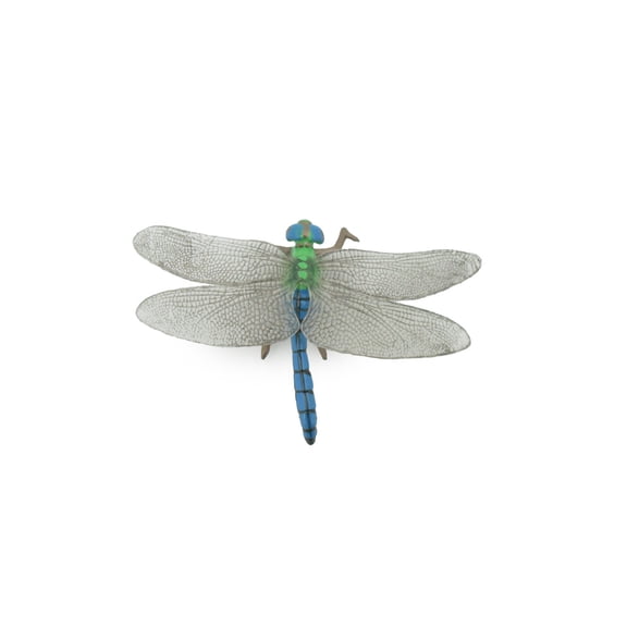 Dragonfly, Damselfly, Bluetail, Museum Quality, Hand Painted, Rubber Insect, Realistic, Figure, Model, Replica, Toy, Kids, Educational, Gift, 3 1/2" CH517 BB157
