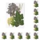 thumbnail image 1 of Yuarrent Hoja seca natural en relieve hojas prensadas decoración postal del hogar para tarjetas de boda de resina hoja verde 8 Type1 NO1, 1 of 6