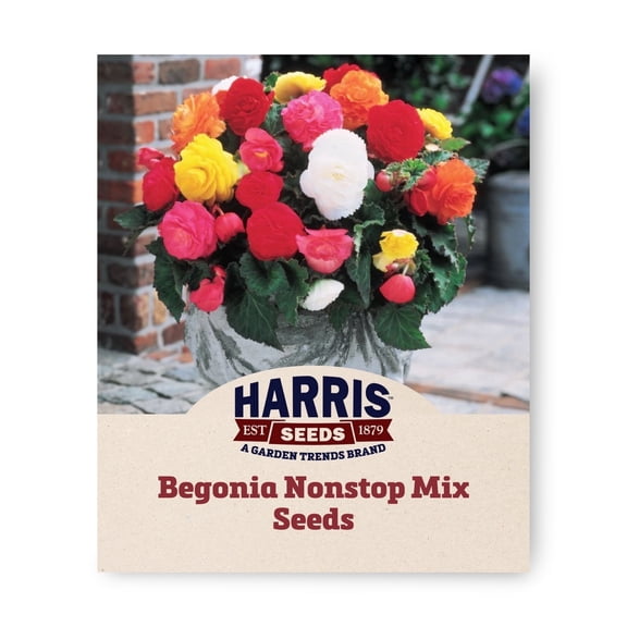 Harris Seeds Begonia Nonstop Mix F1, Double Bloom Tuberous Begonia, 100 Count