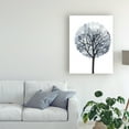 thumbnail image 3 of Trademark Fine Art 'Midnight Elm I' Canvas Art by Grace Popp, 3 of 4