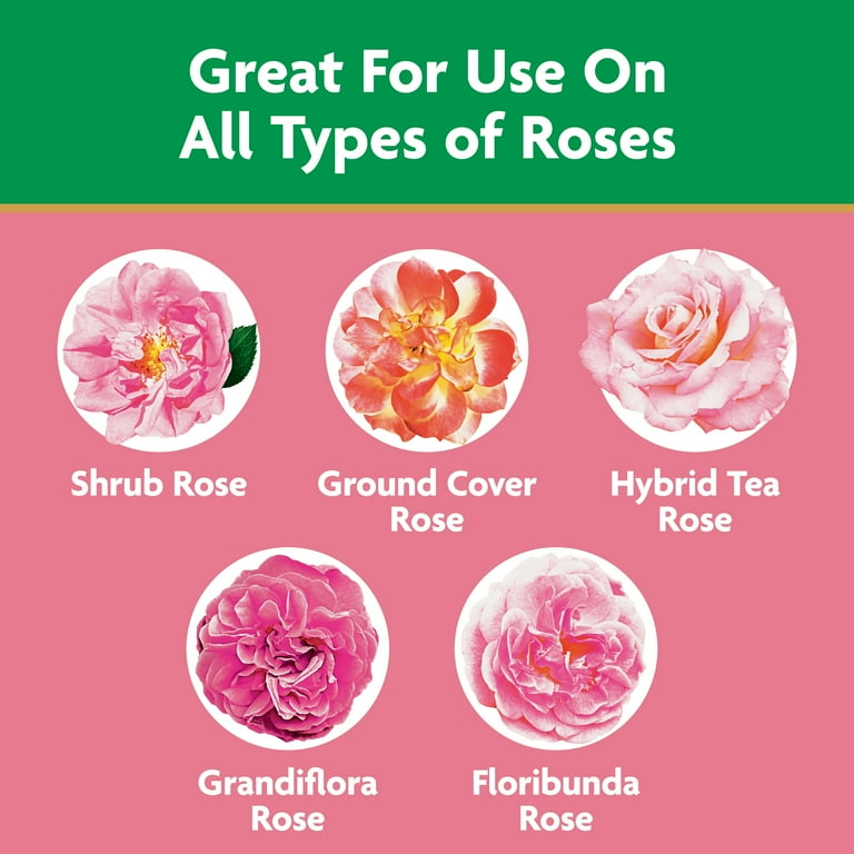 Miracle-Gro Water Soluble Rose Plant Food, 1.5 lb, Indoor and