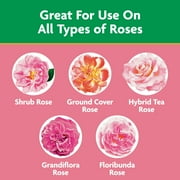 Miracle-Gro Water Soluble Rose Plant Food, 1.5 lbs., Feeds Instantly