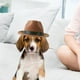 thumbnail image 5 of Sombrero de vaquero para mascotas, accesorios para disfraces, sombreros con cordón ajustable para perros pequeños y grandes, cachorros de Chihuahua pa marrón Sunnimix Sombrero de vaquero para mascotas, 5 of 7