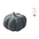 thumbnail image 1 of Cojín de calabaza de Halloween, almohada decorativa, soporte para , dispensador de pajitas de acrílico, organizador de pajitas para beber con ma, 1 of 8
