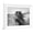 White Frame, variant on Art.com Fierce Grace Photographic Print by Tony Stromberg, Brown Frame Wall Art, 21" x 17"