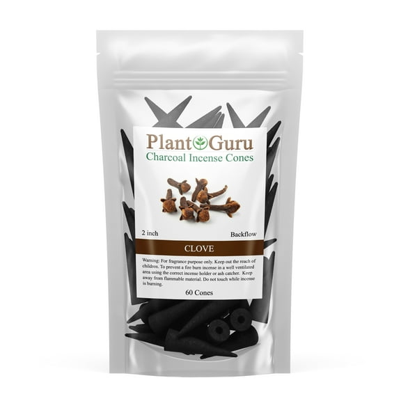 Clove Charcoal Incense Cones 2" BACKFLOW - 60 Pack - Natural Scented Cones Handmade Hand Dipped