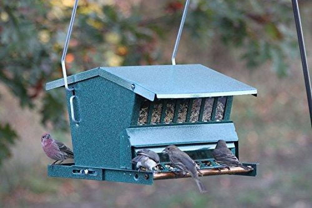 Audubon Absolute Squirrel Proof Bird Feeder with Mounting Kit for Chickadees & Finches