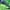 Green, variant on GEZHEN Winter and Fall Kids Girls Coat Windproof Thicken Coat Jacket Child Warm Button Outerwear Girls' Basic Jacket Casual Style Rain Jacket Fashion