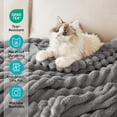 thumbnail image 4 of Throw Size Blanket, 230GSM Extra Soft Lightweight Bed Blanket with Strip , Plush Fuzzy Cozy Throws for Couch, Bed, Sofa Cozy, Warm and Breathable, 50x60" Gray, 4 of 7