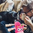 thumbnail image 4 of Sound Making Toys Pet Interactive Dog Toy for Teething and Boredom, 4 of 4