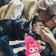 thumbnail image 4 of Juguetes para perros con sonido para mascotas: Dientes Aburrimiento Interactivo, 4 of 7