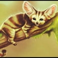 thumbnail image 3 of VONKY Cat Tiger Moneky Diamond Needlework DIY 5D Animal Rhinestone Painting Crystal Embroidery Home Office Cross Stitch, 3 of 8