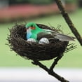 thumbnail image 6 of Dserhfy 1 Set Artificial Bird Decorative Lightweight Simulation Bird Nest Set Home Decor for Courtyard Garden, 6 of 7