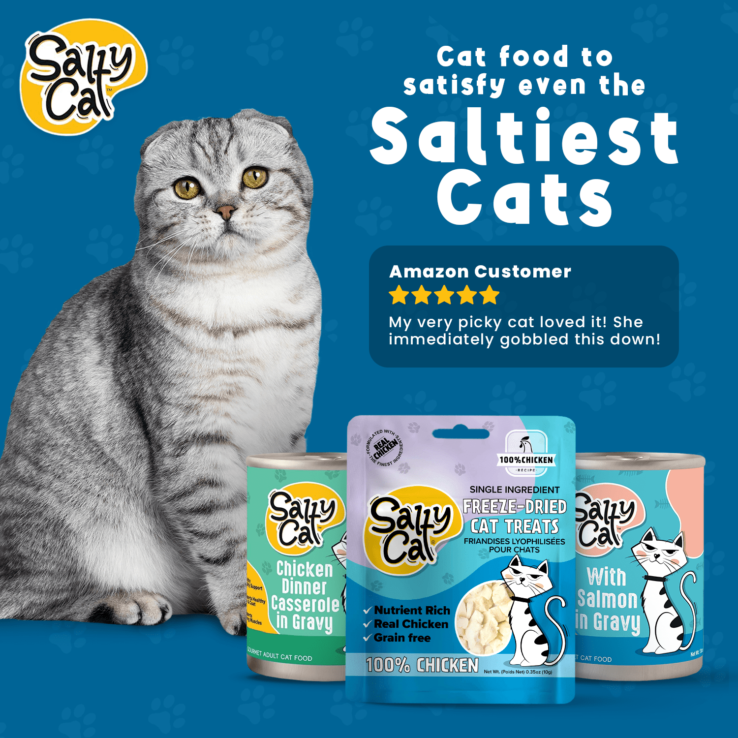 Salty Cat Freeze-Dried Chicken Flavor Crunchy Treats for Cats, 10g Bag