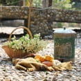 thumbnail image 6 of 2 Gal Vintage Small Step On Trash Can With Lid Liner and Handle, Farmhouse Rustic Garbage Can Watse Bin for Living Room Bathroom Office, 6 of 6