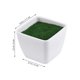 thumbnail image 5 of FUTUREORYY Maceta Artificial De Plástico Con Musgo Decorativo Ideal Para Escritorios Y Repisas, 5 of 7