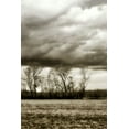 thumbnail image 2 of Hausenflock, Alan 17x24 White Modern Wood Framed Museum Art Print Titled - Winter Fields VI, 2 of 4