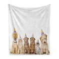 thumbnail image 1 of Birthday Party Soft Flannel Fleece Throw Blanket, Shelter Dogs Terrier Cats Cone Hats Theme Celebration Theme Image Print, Cozy Plush for Indoor and Outdoor Use, 70" x 90", Multicolor, by Ambesonne, 1 of 6