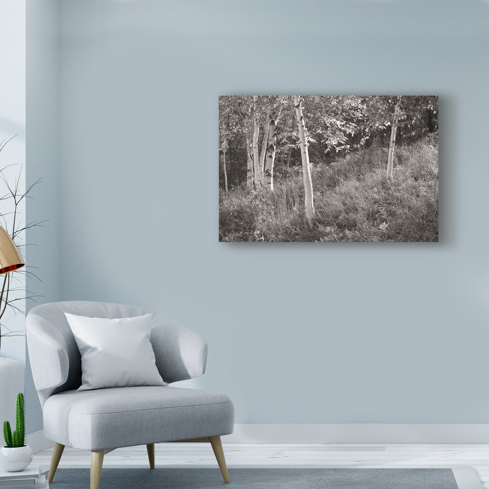 Trademark Fine Art 'Sunlit Birches I' Canvas Art by Sue Schlabach