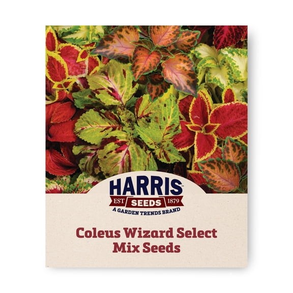 Harris Seeds Coleus Wizard Select Mix, Ornamental Foliage Plant, 50 Count